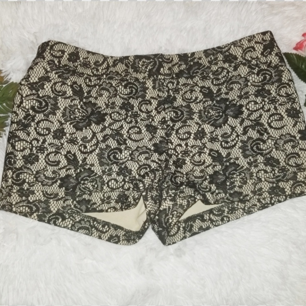 NWT Bebe shorts